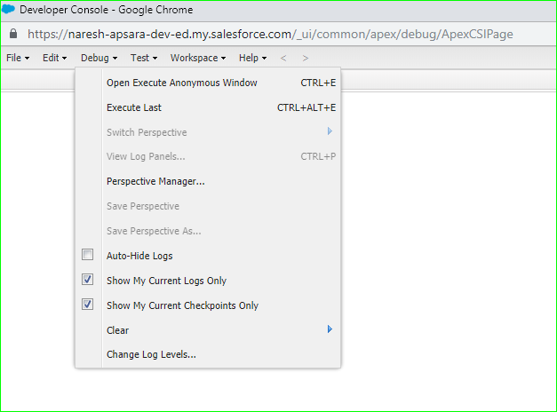Developer Console Debug